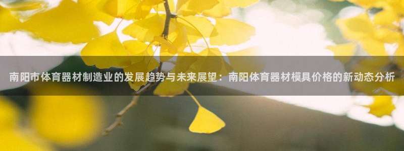 极悦平台是什么：南阳市体育器材制造业的发展趋势与未来展望：南